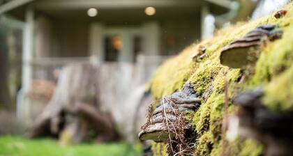 ‘Hemlock’ Riverfront Cabin near Olympic National Park