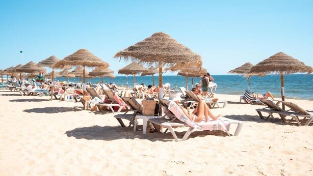 A beach with rows of sun loungers and thatched umbrellas. - Wax Hostel & Apts (Faro)