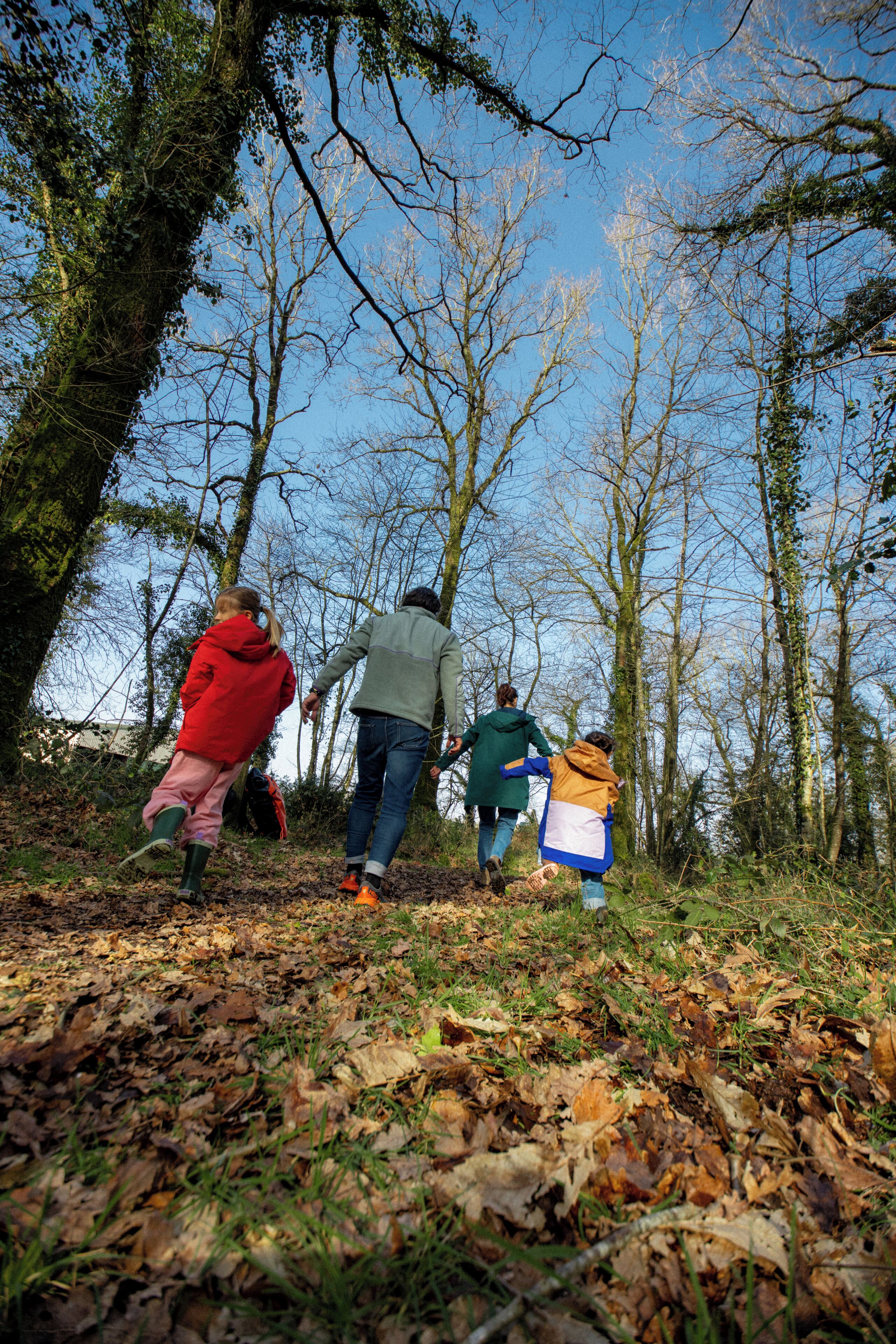 Un grupo de personas caminando por un sendero cubierto de hojas en un área boscosa.