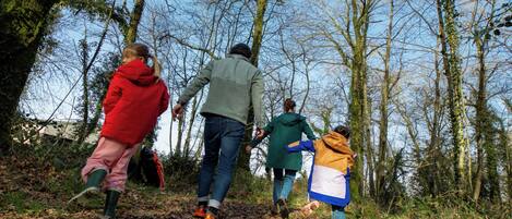 A group of people walking on a leaf-covered path in a forested area.
