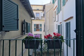 Property grounds - Pinti amodio (firenze)