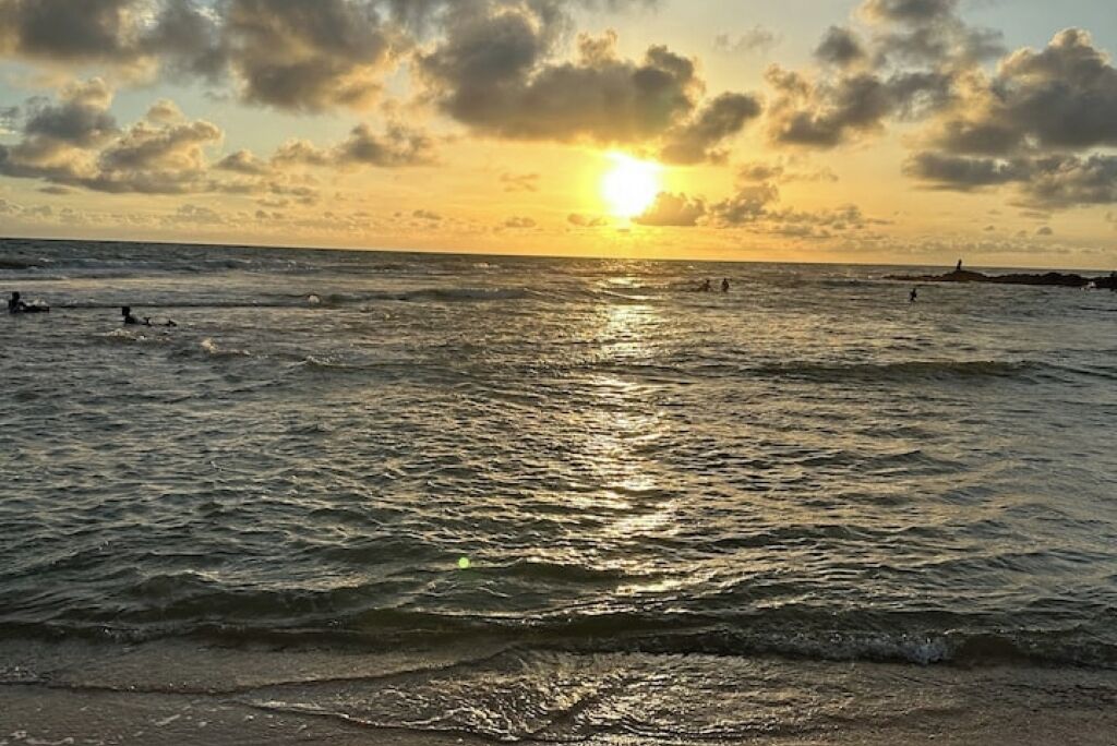 Plage, chaises longues