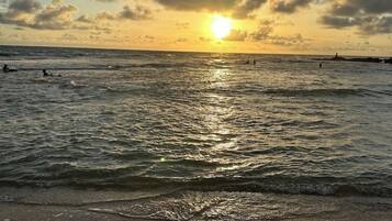 Plage, chaises longues