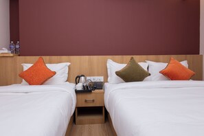 Habitación Deluxe con 2 camas individuales