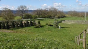 A rural landscape with a grassy field, trees, and a stone wall. - Vacation apartment at Sonnenstein (Holungen)