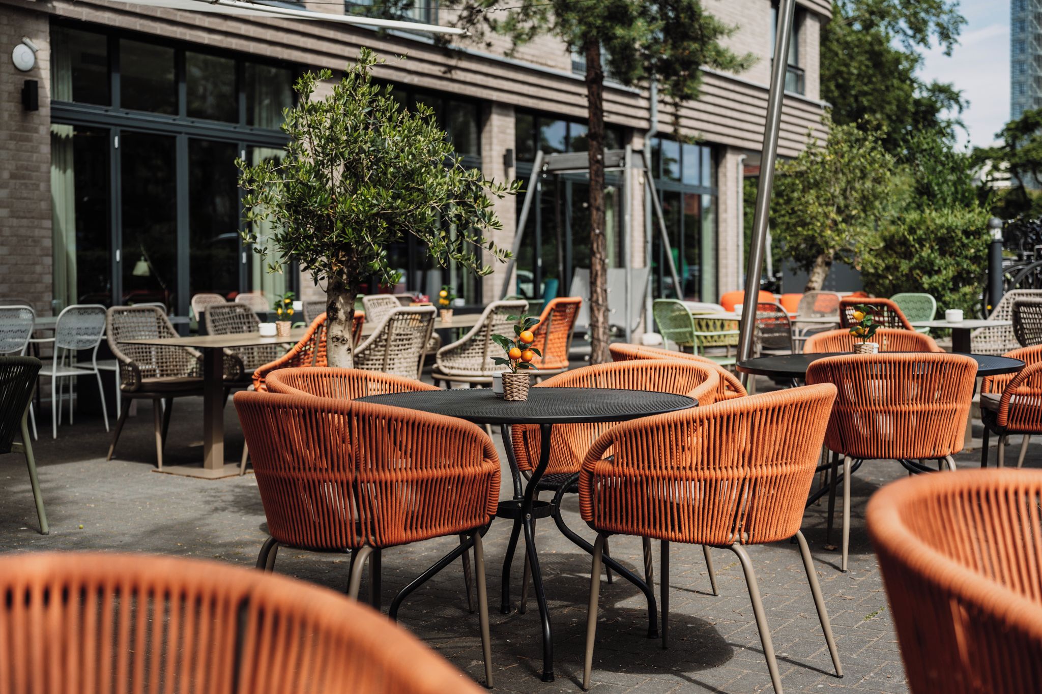 An outdoor seating area with wicker chairs and tables, a small tree, and a building with large windows in the background.