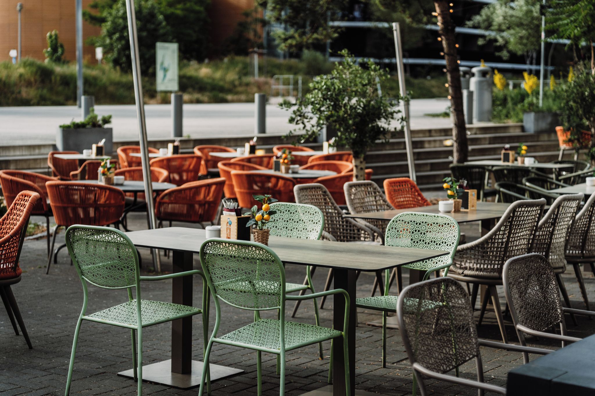 Un café al aire libre con sillas y mesas de mimbre, algunas con plantas en macetas.