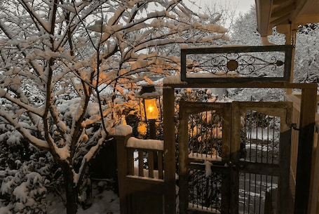 Property grounds. Cozy Cottage off Frankfort Avenue