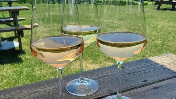 Três copos de vinho sobre uma mesa de madeira ao ar livre, com um campo gramado e uma mesa de piquenique ao fundo.