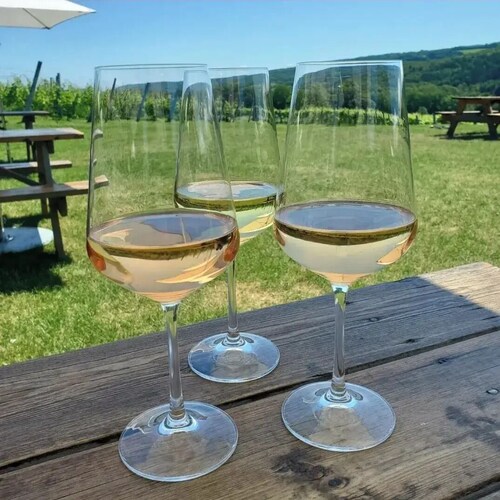 New luxury suite in the heart of wine country-steps from Benjamin Bridge Winery!