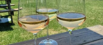 New luxury suite in the heart of wine country-steps from Benjamin Bridge Winery!