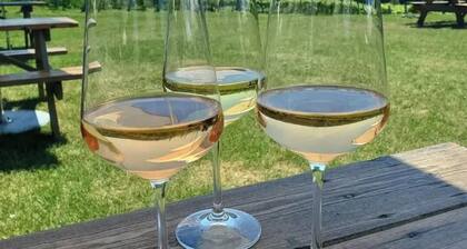 New luxury suite in the heart of wine country-steps from Benjamin Bridge Winery!