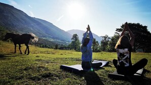 Due persone praticano yoga su tappetini in un campo erboso, con un cavallo sullo sfondo e montagne in lontananza.