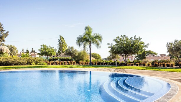 Piscina límpida com borda azulejada, rodeada por um deck de madeira e vegetação.