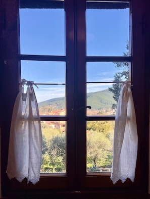 A wooden door with two windows, each with a white curtain.