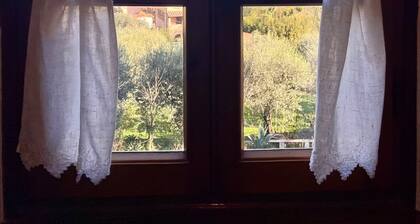 Authentic and Peaceful Tuscan Cottage Among Olive Trees - Between Lucca and Pisa