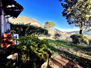 Unclassified image, 2 of 40, button - Authentic and Peaceful Tuscan Cottage Among Olive Trees - Between Lucca and Pisa (Lucca)