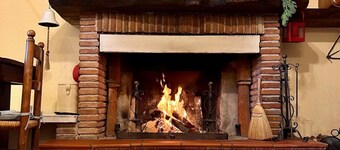 Authentic and Peaceful Tuscan Cottage Among Olive Trees - Between Lucca and Pisa