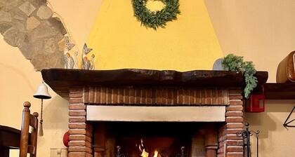 Authentic and Peaceful Tuscan Cottage Among Olive Trees - Between Lucca and Pisa