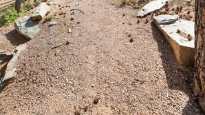 Soralla päällystetty polku metsäisellä alueella, jossa on puita ja kallioinen ulkonema.