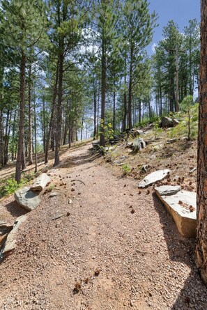 Un área boscosa con un sendero de grava, árboles y rocas dispersas.