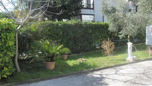 A residential area with a paved driveway, a lawn, and a variety of potted plants.