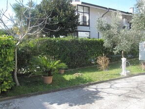 Un quartier résidentiel avec une allée pavée, une pelouse et diverses plantes en pot.
