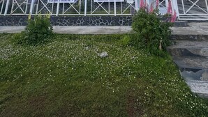 A purple building with a white fence and a stone wall. - HOSTERIA  AILEN (Ushuaia)