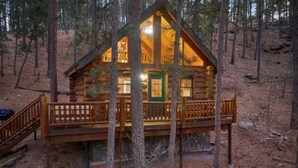 Eine Blockhütte mit einer Holzdiele und einer grünen Tür, umgeben von Bäumen.
