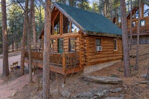 Una baita con un portico, circondata da alberi.