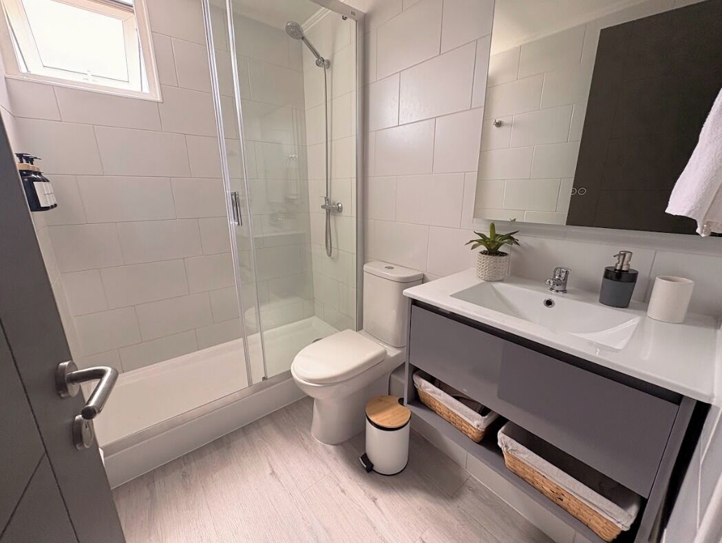 A modern bathroom with a glass-enclosed shower, a toilet, a sink with a mirror, and a small potted plant.
