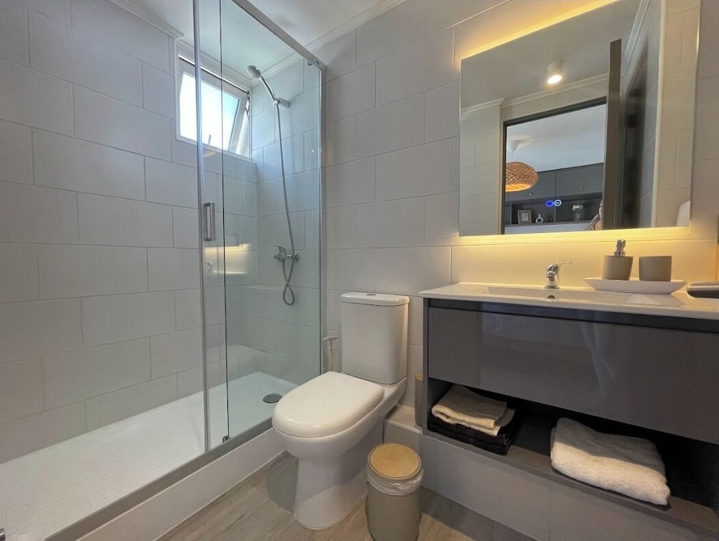 A modern bathroom with a glass-enclosed shower, a toilet, and a vanity with a mirror and sink.