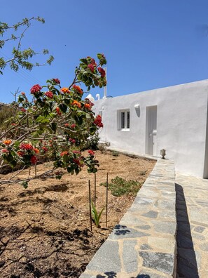 Comfort Apartment, Garden View | Property grounds - Oxalis Mykonos Apartments (Mykonos)