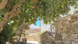 Un sendero de piedra bordeado por árboles y muros de piedra, que conduce a un edificio con un cielo azul despejado al fondo.