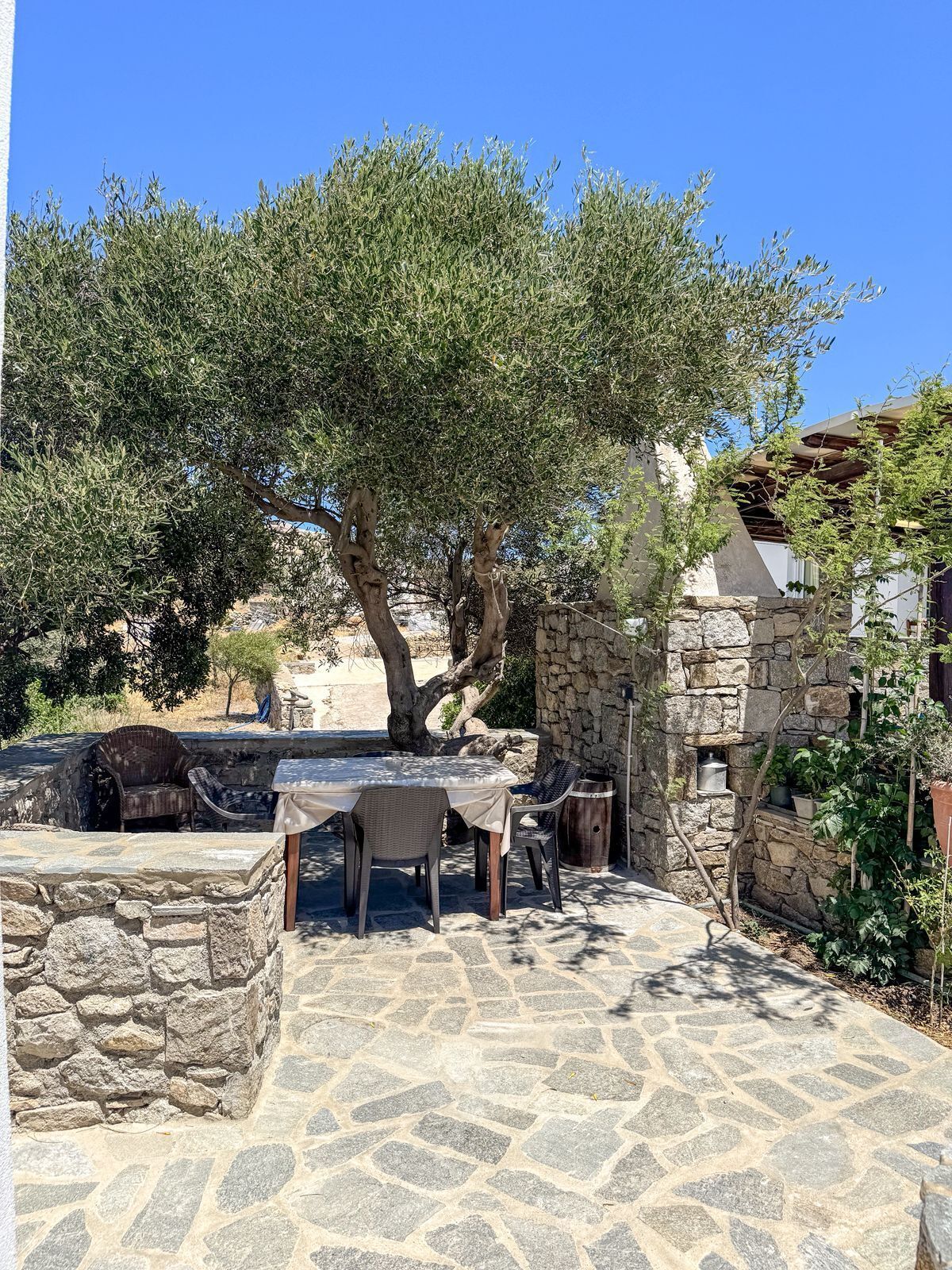 Comfort-Apartment, Gartenblick