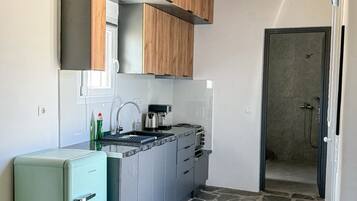 Classic Studio, Garden View