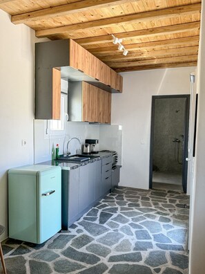 Studio phong cách cổ điển, quang cảnh vườn