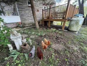 Terrace/patio - Lovely cottage for your group (Robesonia)