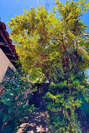 House, 1 Bedroom, Accessible, Smoking | Property grounds - Casa Para o Carnaval - Sereia do Mar (Salvador)