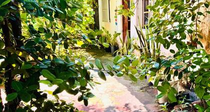 Casa Para o Carnaval - Sereia do Mar