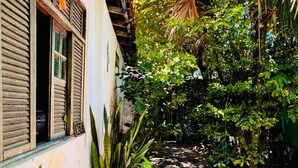 Un sendero estrecho bordeado por exuberante vegetación y un edificio con persianas de madera.