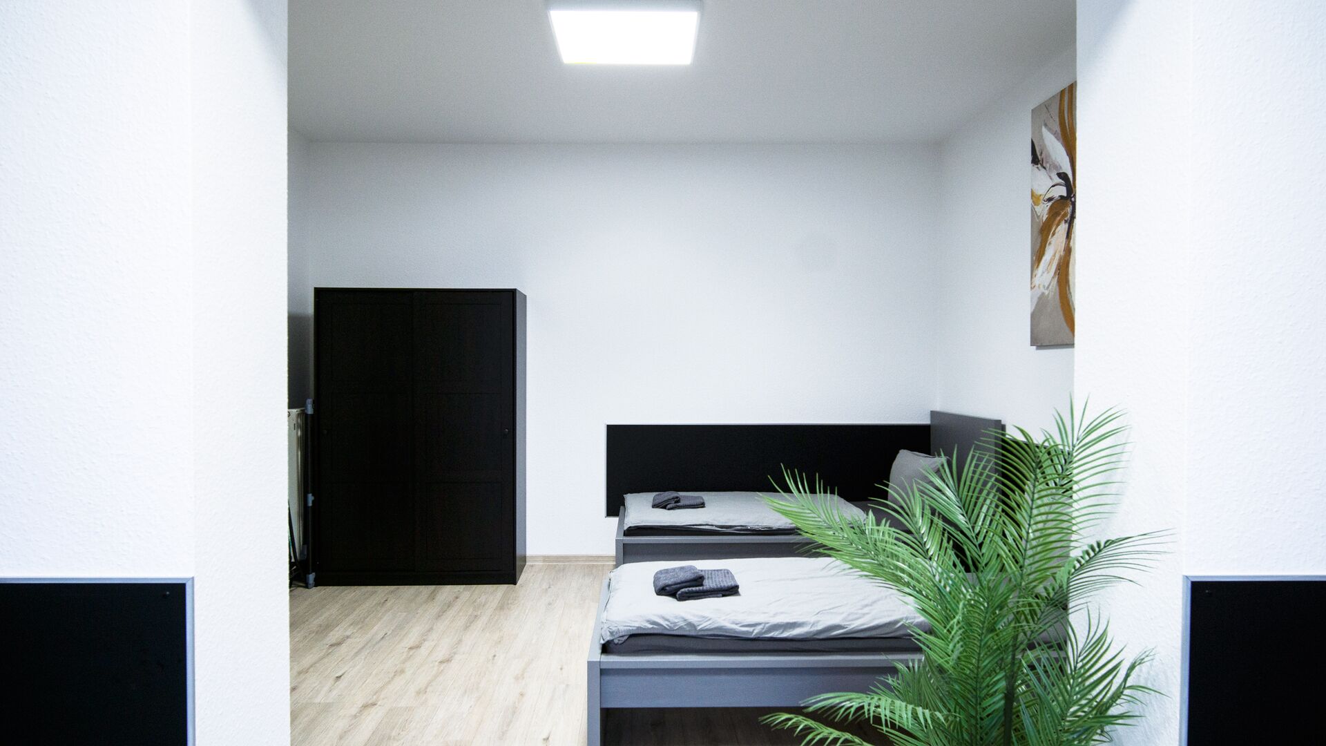 A minimalist room with a bed, a door, and a plant.