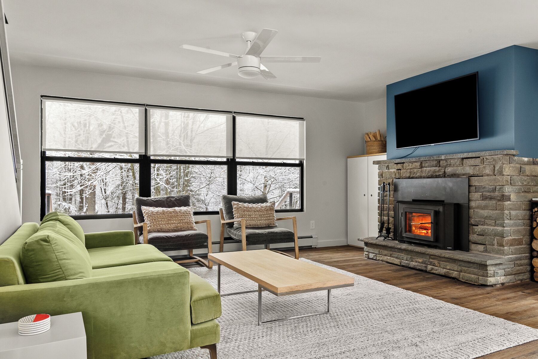 Smart TV, chimenea, libros, impresora