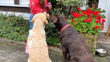 Terrein van de accommodatie