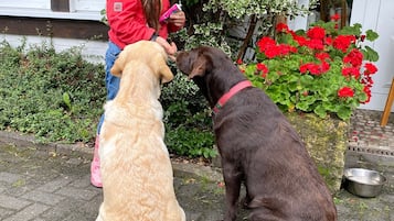 Jardines del alojamiento