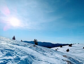 Unclassified image, 2 of 32, button - Chanterelle - Authentic Alsatian charm in a 1600 heritage home (Buhl)