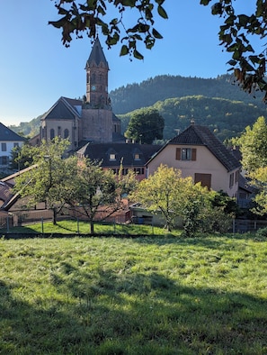 Unclassified image, 5 of 32, button - Chanterelle - Authentic Alsatian charm in a 1600 heritage home (Buhl)