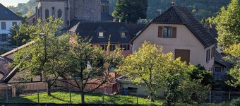 Chanterelle - Authentic Alsatian charm in a 1600 heritage home