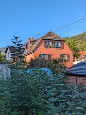 Unclassified image, 3 of 32, button - Chanterelle - Authentic Alsatian charm in a 1600 heritage home (Buhl)