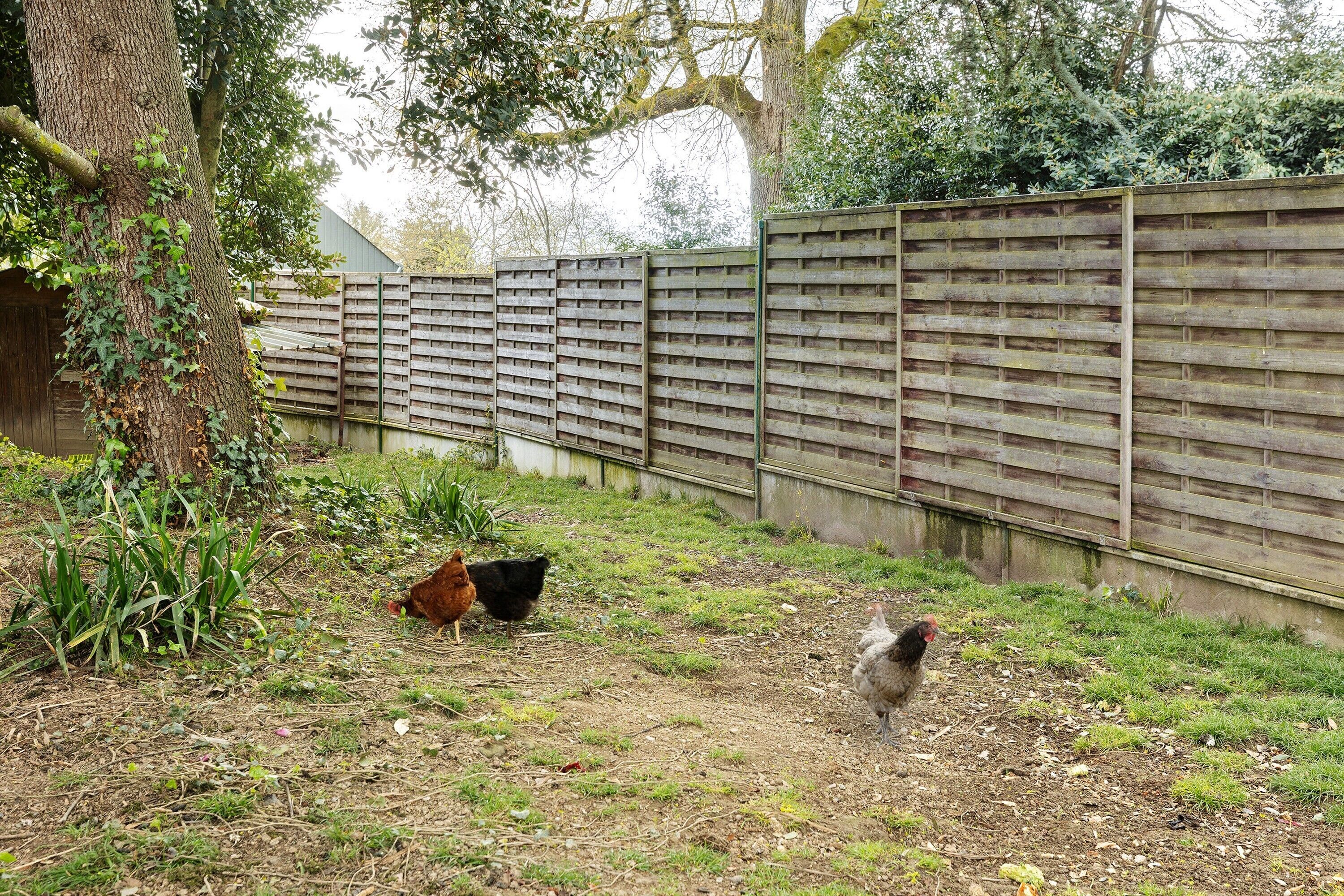 Terrein van de accommodatie